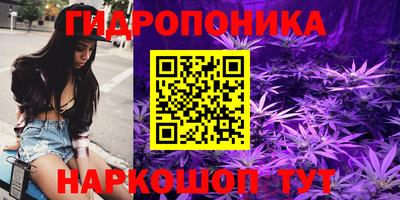 сатива Комсомольск-на-Амуре