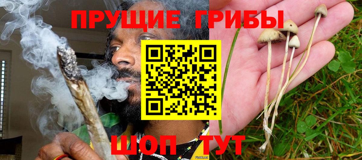 Галлюциногенные грибы Magic Shrooms  Псилоцибиновые грибы MAGIC MUSHROOMS  продажа наркотиков  Вход с VPN  Кандалакша 